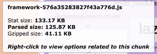 webpack-bundle-analyzer-details.png